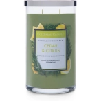 Colonial Candle® Aromātiskā Svece Cedar Citrus