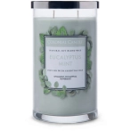 Colonial Candle® Aromātiskā Svece Eucalyptus Mint